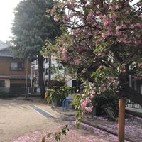 姉坊城 - 投稿画像3