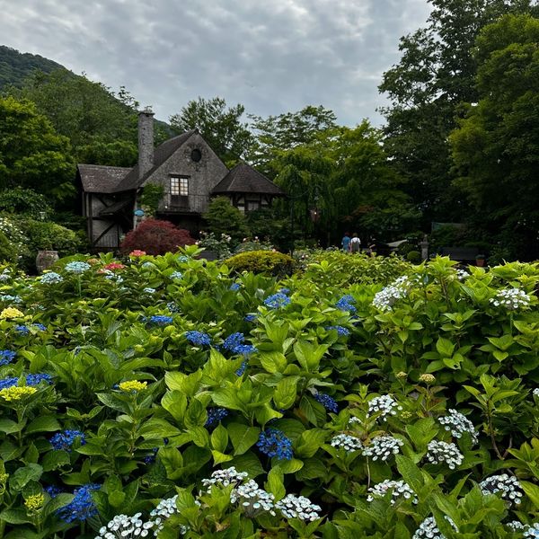 Museum Hakone Garasu no Mori - トップ画像