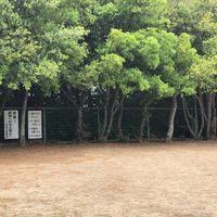 琵琶台第1児童公園 - 投稿画像3