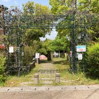 富雄川西二丁目街区公園 - 投稿画像3