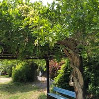 梅が丘東公園 - 投稿画像3