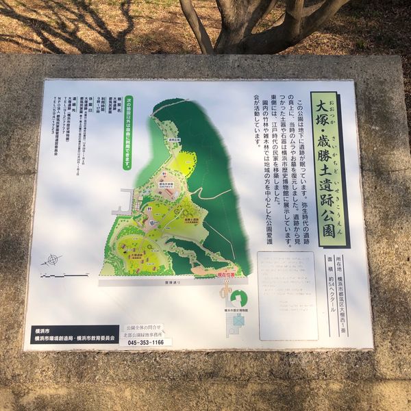 大塚・歳勝土遺跡公園 - トップ画像