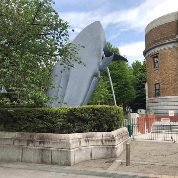 上野恩賜公園　クジラ口 - トップ画像