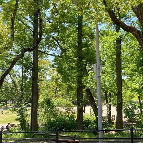 津雲公園 - おすすめ画像