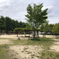 一乗寺公園 - 投稿画像3