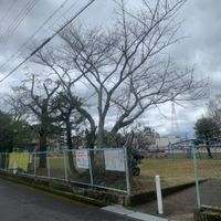 庭井団地第1児童公園 - 投稿画像0