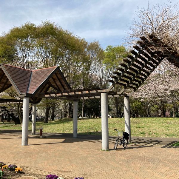 彩の森入間公園 多目的広場 - トップ画像