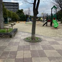 島江公園 - 投稿画像1