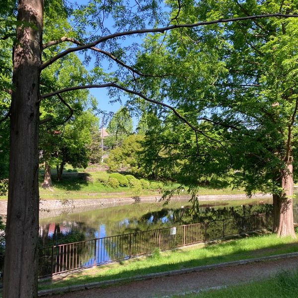 佐竹公園 - おすすめ画像