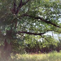 横井第9号街区公園 - 投稿画像2