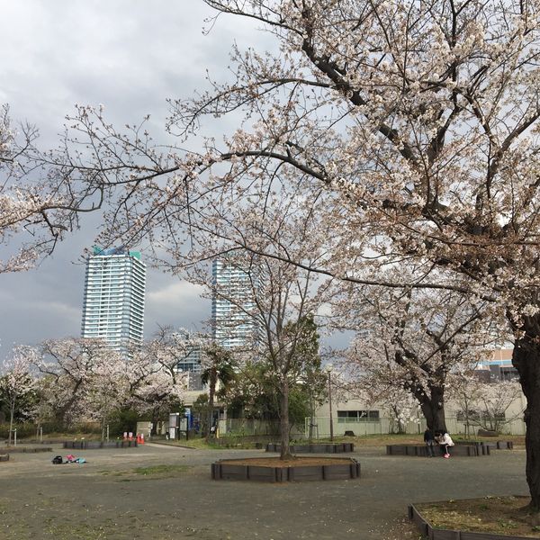 幸ヶ谷公園 - トップ画像