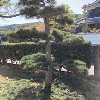 矢田山第2号児童公園 - 投稿画像2