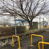 六条西六丁目3号街区公園 - 投稿画像0