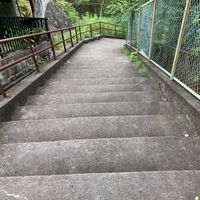 帝塚山中町緑地 - 投稿画像1