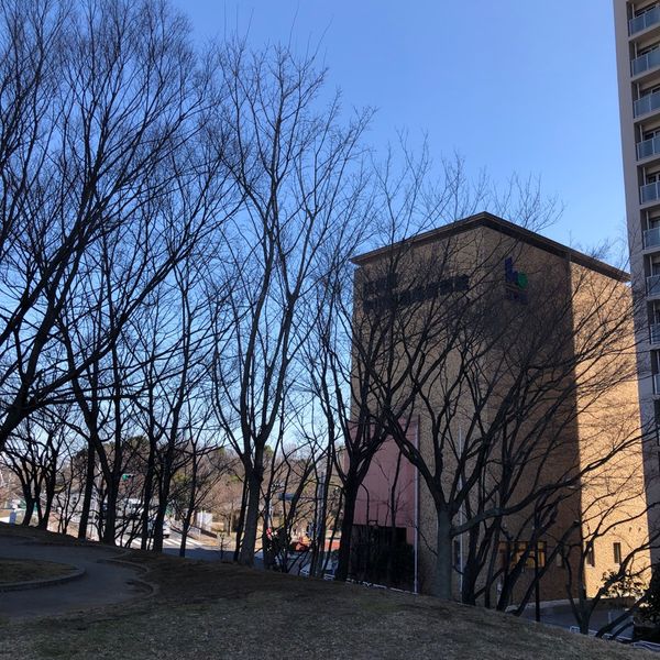 大島小松川公園　少年運動広場 - トップ画像