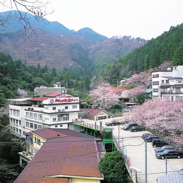 Nibukawa Onsen - おすすめ画像