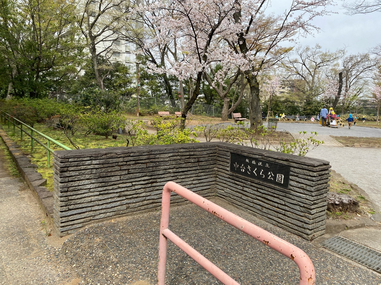 桜、台 今日4/4京の #高台寺 開山堂へ入る重関門脇の高台寺桜が開花し