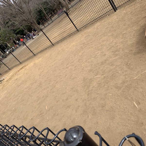 代々木公園 ドッグラン - トップ画像