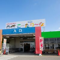 JA大阪泉州農産物直売所 こーたり～な - 投稿画像0