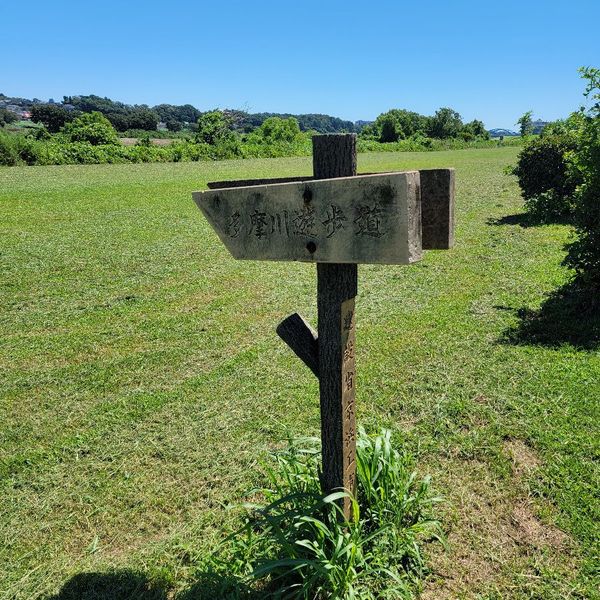 多摩川遊歩道 等々力側入口 - おすすめ画像