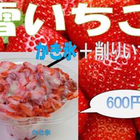 【SHOP STOP】玉川（二子玉川公園） - 投稿画像0