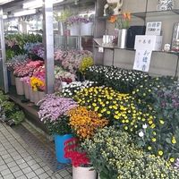 相葉生花店 - 投稿画像1