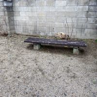 百々 - 投稿画像1