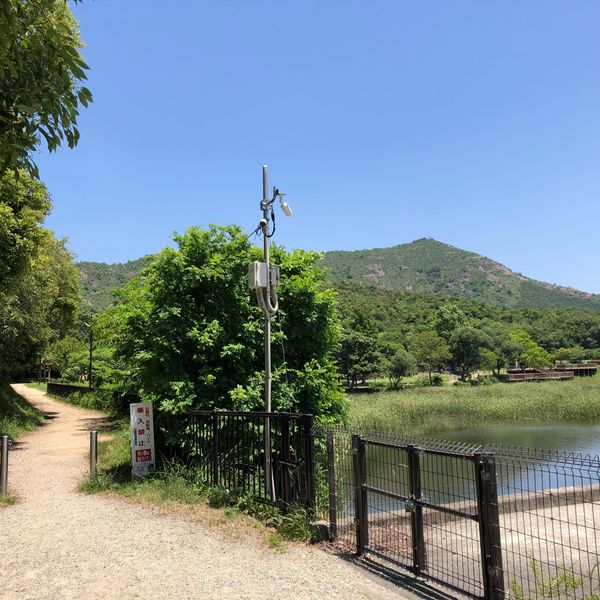 市ノ池公園 - トップ画像