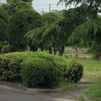 助松公園 - 投稿画像1