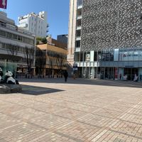 パンダ広場 - 投稿画像1