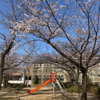 さざんか公園 - 投稿画像0