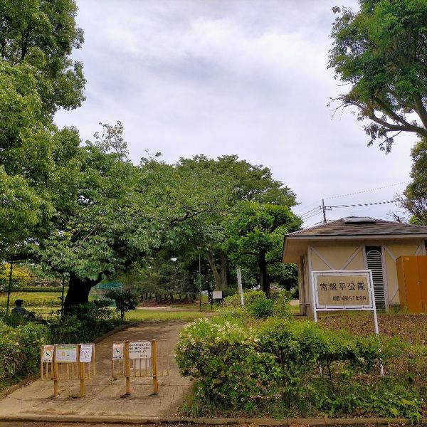 常盤平公園 - トップ画像