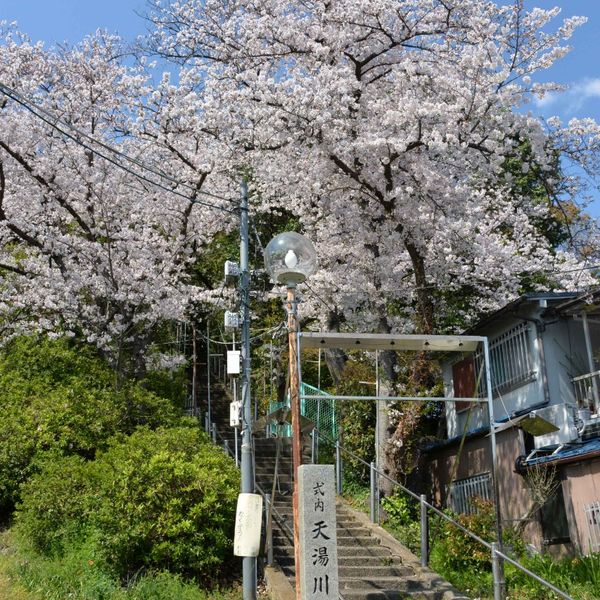 AmayukawataーJinja - おすすめ画像