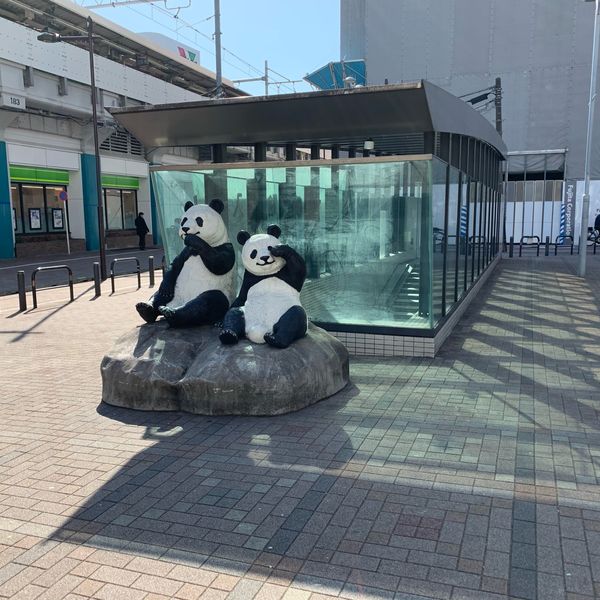 パンダ広場 - おすすめ画像