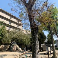 夷川 - 投稿画像2