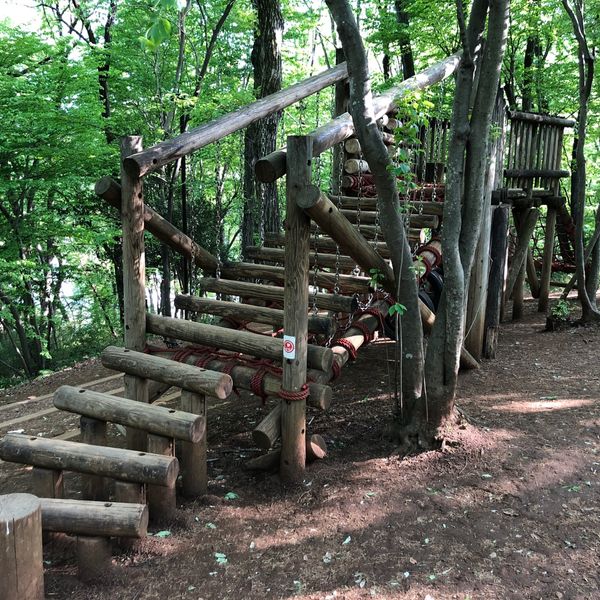 野山北・六道山公園 あそびの森 - トップ画像