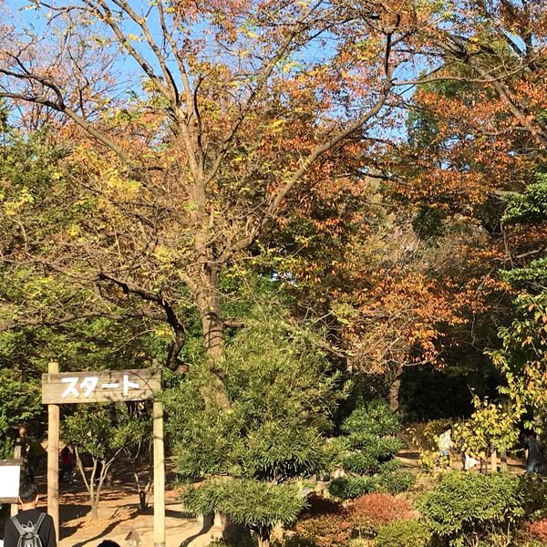 平和の森公園 - トップ画像