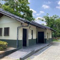 紫金山公園 - 投稿画像1