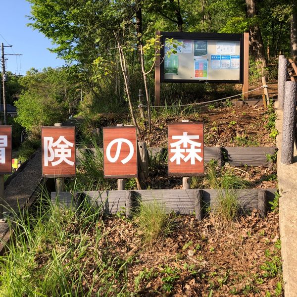 野山北・六道山公園 冒険の森 - トップ画像