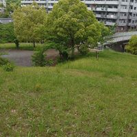 左京五丁目緑地 - 投稿画像2