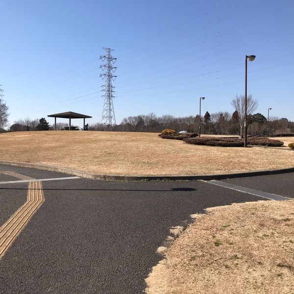 北総花の丘公園 みどりの丘 - トップ画像