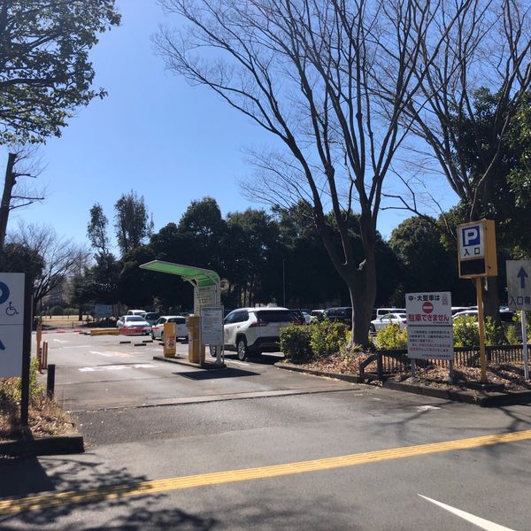所沢航空記念公園 北駐車場 - トップ画像