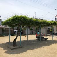 樫原 - 投稿画像1