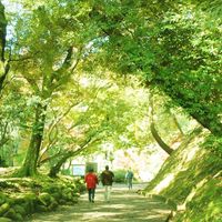 成田山公園 - 投稿画像3
