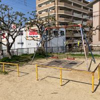 あんず公園 - 投稿画像2