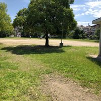 栂池公園 - 投稿画像1