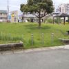 緑樹台児童公園 - トップ画像