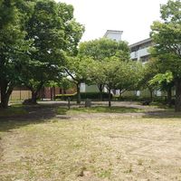 櫟本西部街区公園 - 投稿画像1