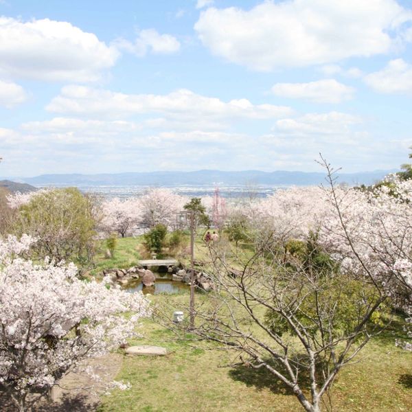 Tatsuta-Kodo no Satoyama Koen - おすすめ画像