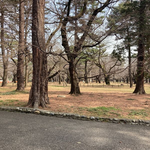 大宮公園 自由広場 - トップ画像